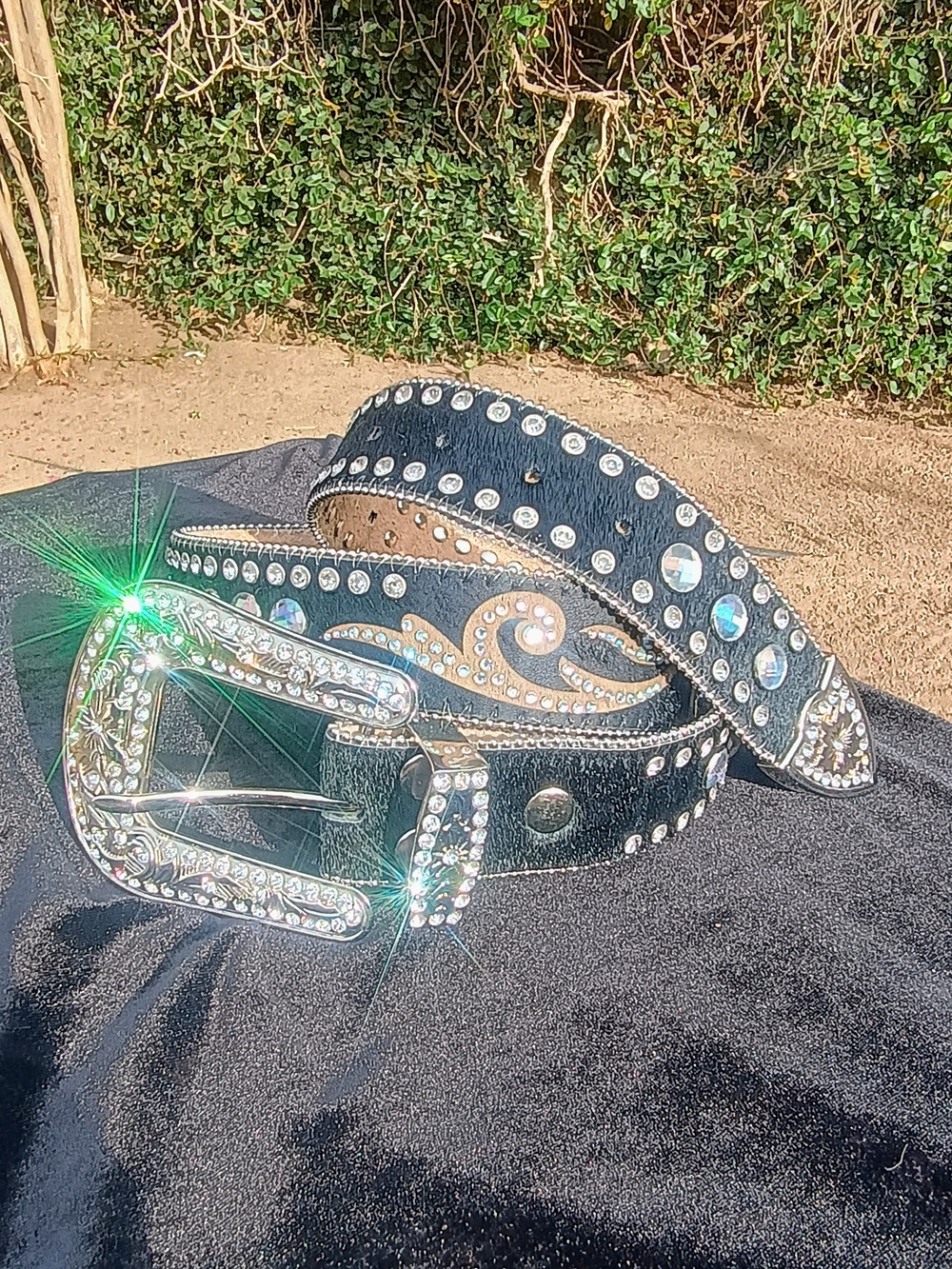 Blazin Roxx Black Rhinestone Western Belt with Decorative Silver Buckle